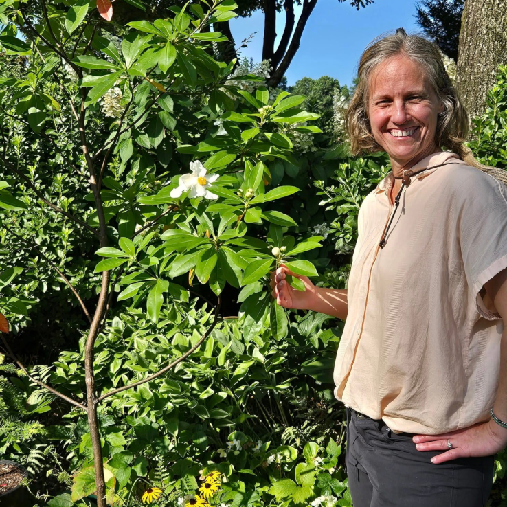 Dallas Holland - Arborist Consulting